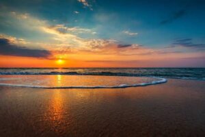 images-13 copy
